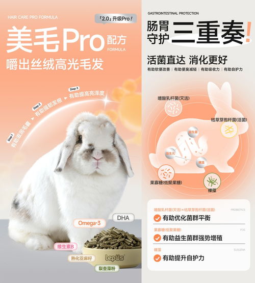 樂兔司 雙料認(rèn)證與銷量第一的背后，開創(chuàng)性檢測鑄就犬只寄養(yǎng)品質(zhì)標(biāo)桿