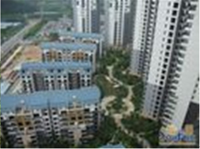 東莞珠佳房地產(chǎn) 專業(yè)房地產(chǎn)代理服務(wù)，助力投資與登記無憂